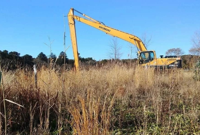 A yellow crane is in the middle of some tall grass.